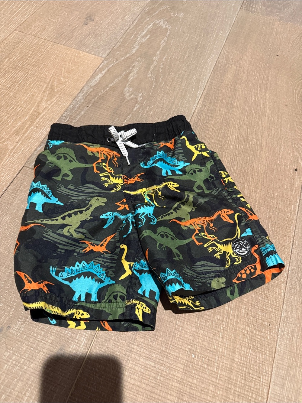 Kids Black Dino Print Swim Shorts with Multicolor Dinosaurs